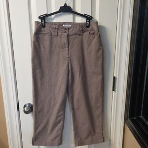 Christopher & Banks Taupe Stretch Pants